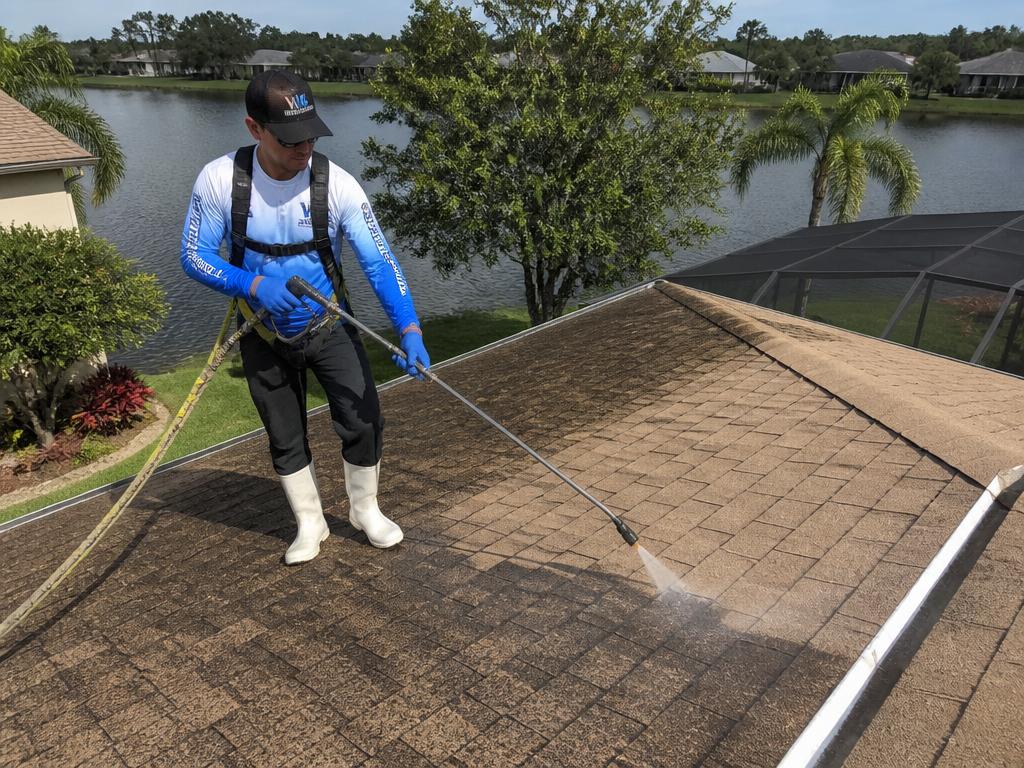 Professional roof cleaning and pressure washing service